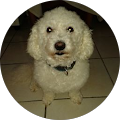 Avatar de goupil.o