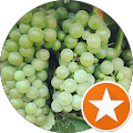 Suisun Valley Fruit Growers - Fairfield, California