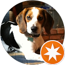 Brian B's profile image