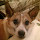Gregory Reichl's profile photo