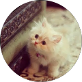 Avatar de joujou.i