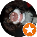 Mole Valley Farmers - Bridgwater - Bridgwater