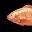 Red Tilapia