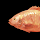 Red Tilapia