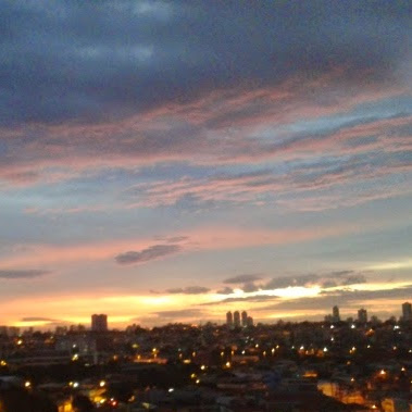 Espaço Vet Imperador | Dra. Sheila Souza — foto 3