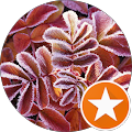 User profile - Lisa McDannel.