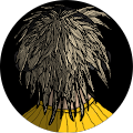 Avatar de AGKyran.