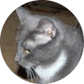 Kin-Care Services, Inc - Sarasota, Florida