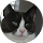 Alie Sinke profile picture