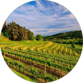 Alpha Omega Collective Paso Robles - Paso Robles, California
