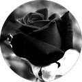 Avis de Jasmin.o avec une note de 5 sur 5