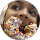 Cicely Blatch profile picture