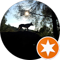 Garatge Roca S.L. - Sant Joan les Fonts, Girona