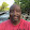 Kelton's profile photo