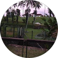 Doddaiah Earanna