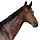 sridh...@gmail.com's profile photo