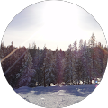 HIN Property Management - Fremont, California