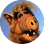 alf Doudou