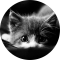 Avatar de Valerie.u