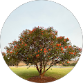 Ethical Accounting & Taxation Services - Campbelltown, New South Wales