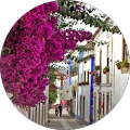 Avatar de Marie-Christine.A