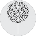 Laine Palm Planning + Design - Minneapolis, Minnesota