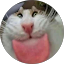 Berkeley F. Avatar