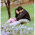 Khushi Saini's profile photo