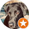 Vega Hundcenter - Haninge