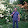 Philip's profile photo