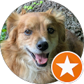 Hundeauslauffläche mit Agility Parcours - Krummhörn
