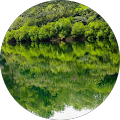 L L & L Enterprises Llc - Hutchins, TX