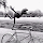 Maria Stoica's profile photo
