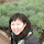 Chen Xu's profile photo
