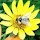 cindy trusty's profile photo