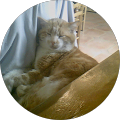 Avatar de Thierry.e