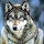 Grayamaruk's profile photo