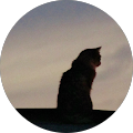 Avatar de Céline.e