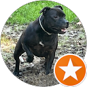 bruna mistro profile picture