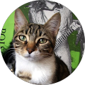 Avatar de thomas.e