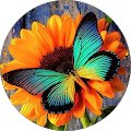 Review Author Image
