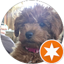 Elizabeth Saville's profile image