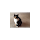 Tove Krieger's profile photo
