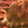 Lydia Francis's profile photo