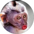 Avatar de olivier.e