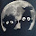 Werner Riehm's profile photo