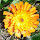 kje...@gmail.com's profile photo