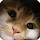 Susan & Bill's profile photo