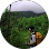 Aqih