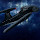 Mark DarkFire's profile photo